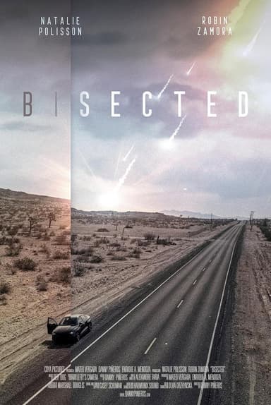 Bisected poster