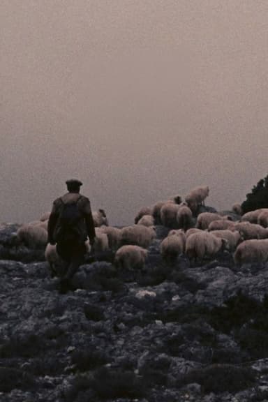 Orgosolo’s Shepherds poster