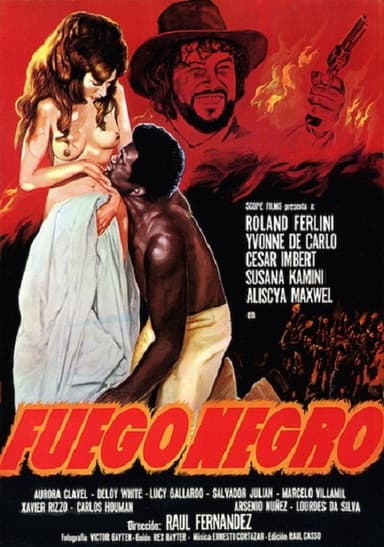 Black Fire poster