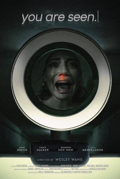 you are seen. poster