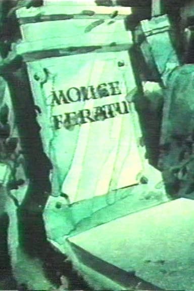 Mouseferatu poster