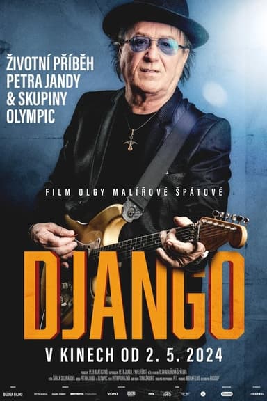 Django poster