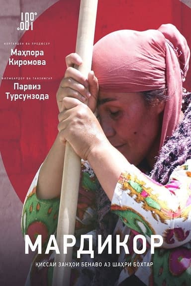 Handywoman poster