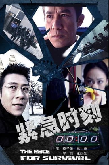 The Face for Survival poster