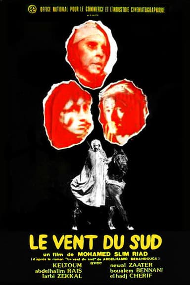 Wind from the South poster