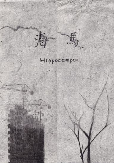 Hippocampus poster