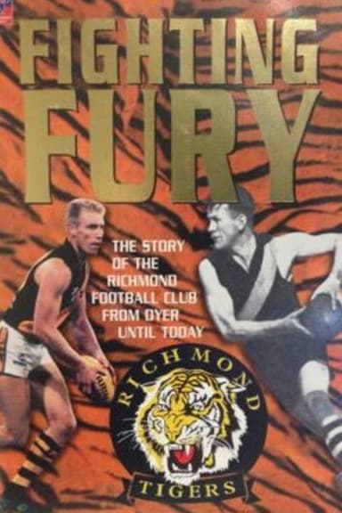 Fighting Fury poster