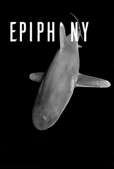 Epiphany poster