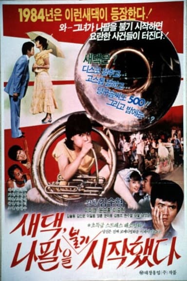 새댁 나팔을 불기 시작했다 poster