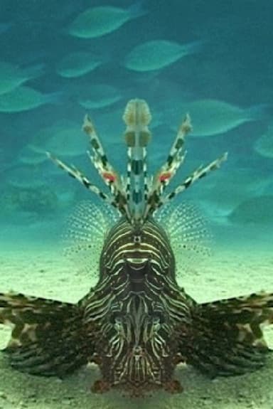 Careless Reef part 4: Marsa Abu Galawa poster