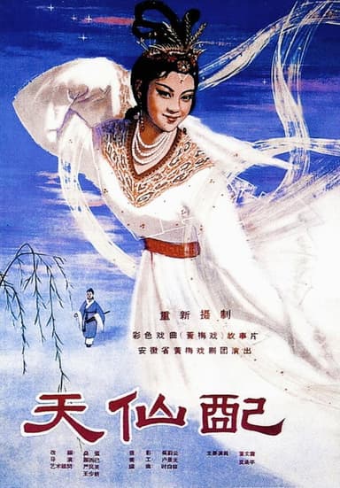 Fairy Couple poster