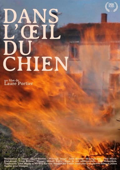 Dans l'oeil du chien poster