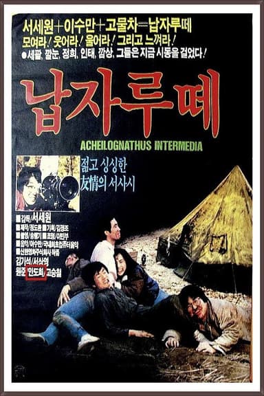 Napjarute poster