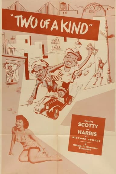 Two Of A Kind poster
