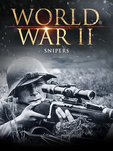 World War II: Snipers poster