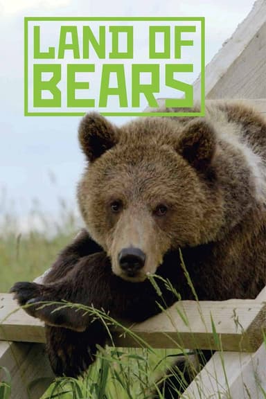 Land of Bears poster