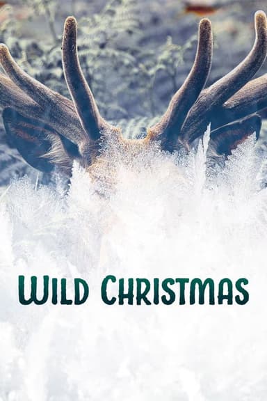 Wild Christmas poster