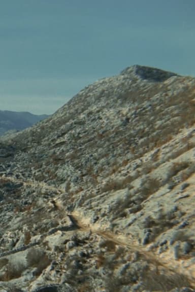 The Road poster