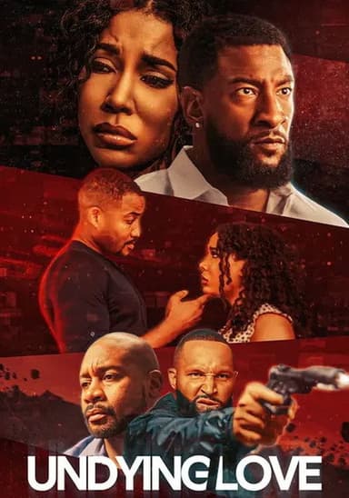 Undying Love poster
