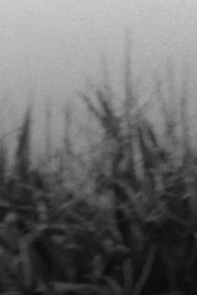 The Scythe poster