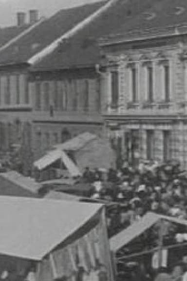 The Ljutomer Fair poster