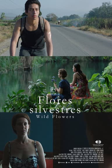 Wild Flowers poster