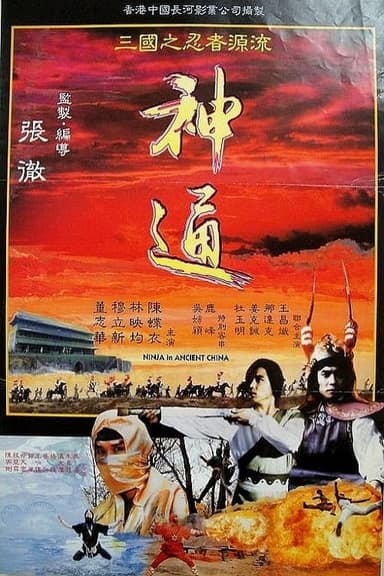 Ninja in Ancient China poster