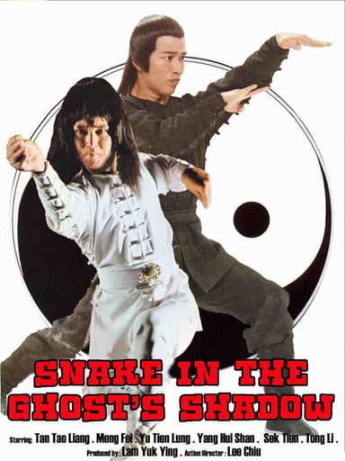Snake In The Ghosts Shadow poster