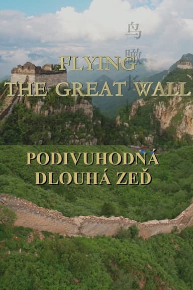 Flying the Great Wall poster