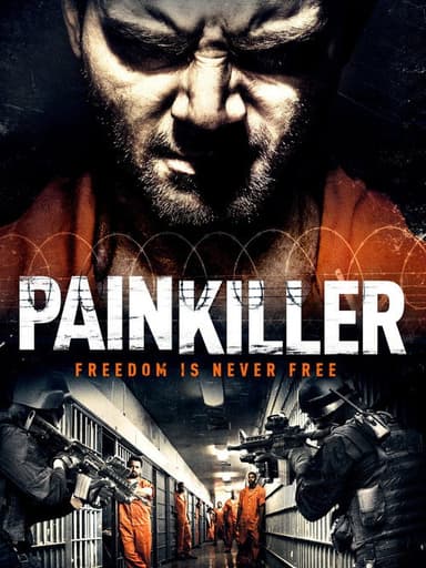 Painkiller poster