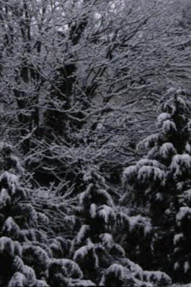 Snow Film poster