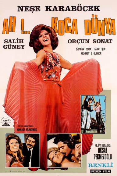Ah Koca Dünya poster