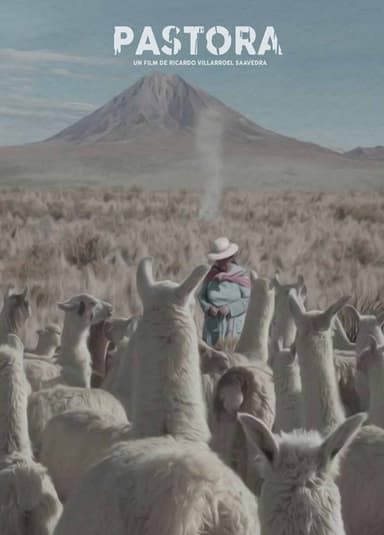 Andean Sheperdess poster