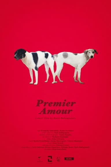Premier Amour poster
