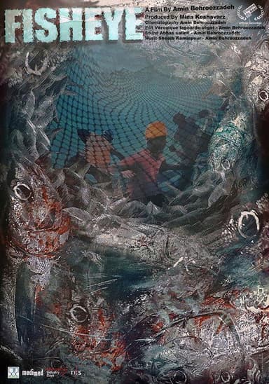 Fish Eye poster