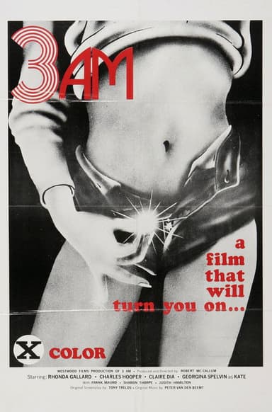 3 A.M. poster