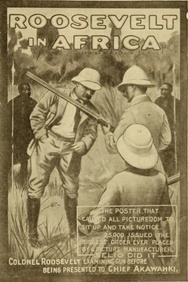 Hunting Big Game in Africa poster