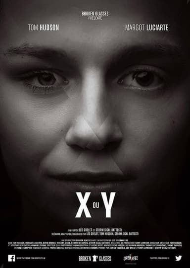 X or Y poster