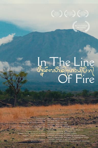 In the Line of Fire poster