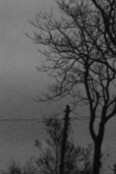 Notturno poster