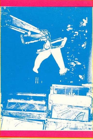 Illusions of Shameless Abundance poster