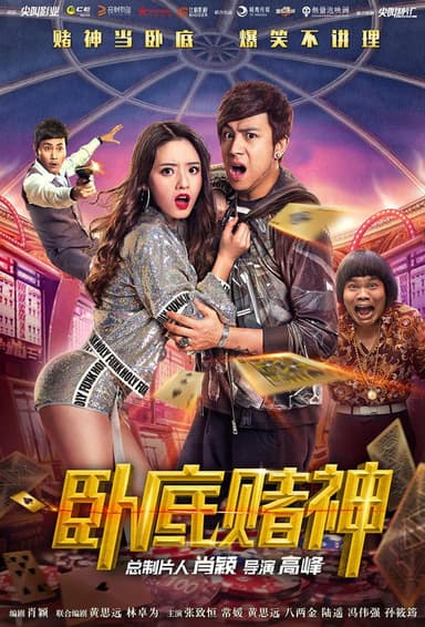 The Undercover Hero poster