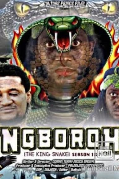Ngboroh poster