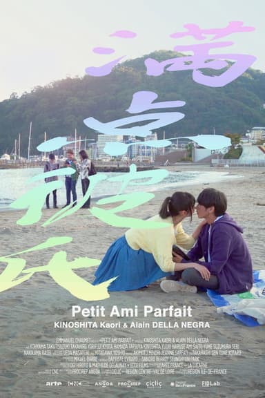 Perfect Boyfriend poster