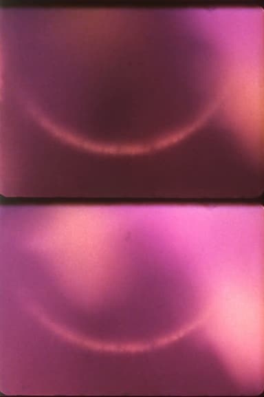 Light Licks Series poster