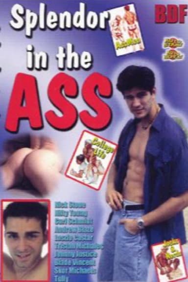 Splendor in the Ass poster
