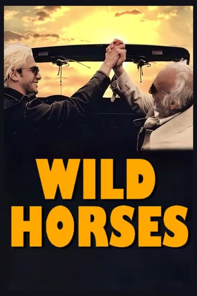Wild Horses poster