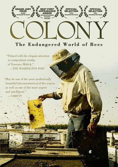 Colony poster