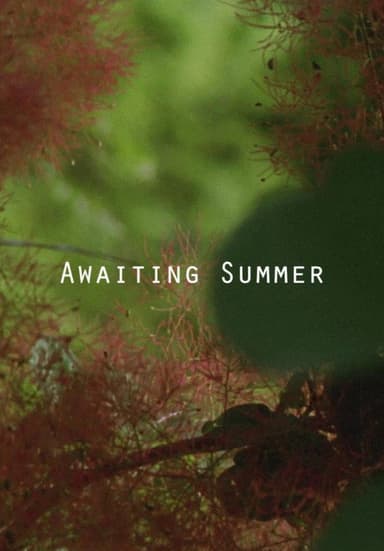 Awaiting Summer poster