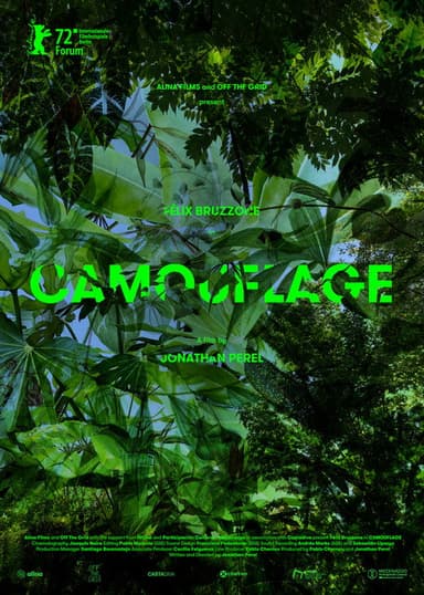 Camouflage poster
